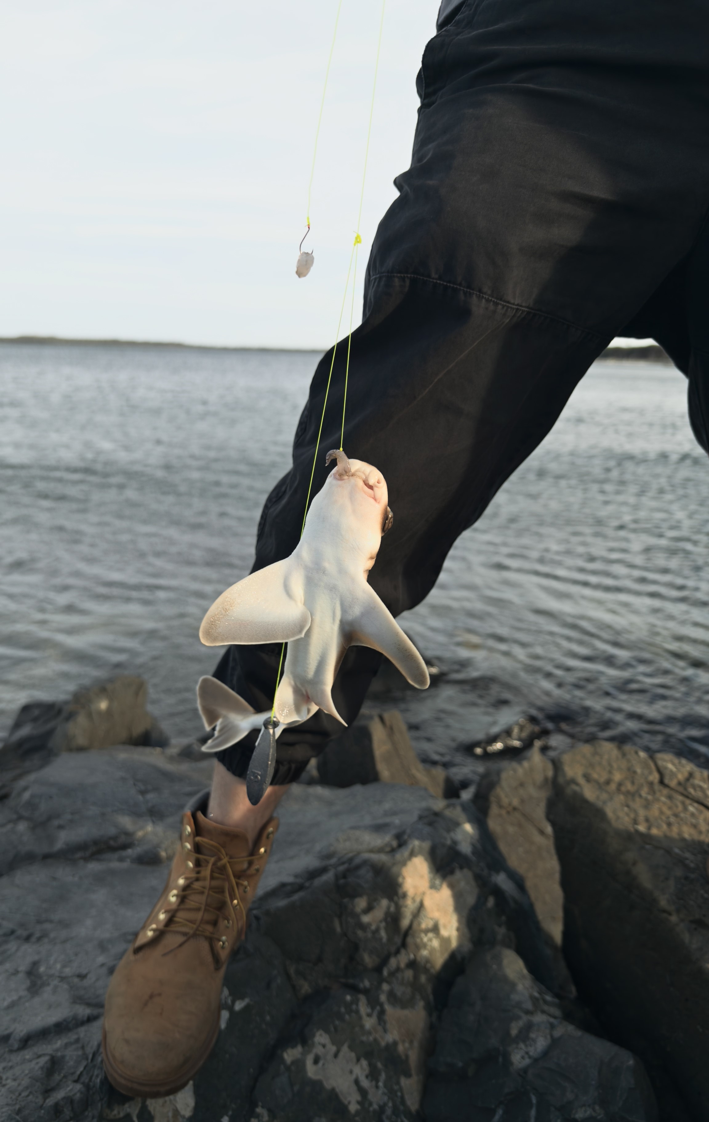 fishing